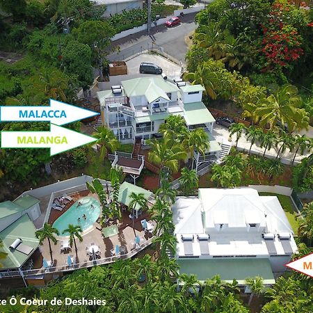 Studio Malacca, Malanga Et Majacudja - O Coeur De Deshaies Eksteriør billede